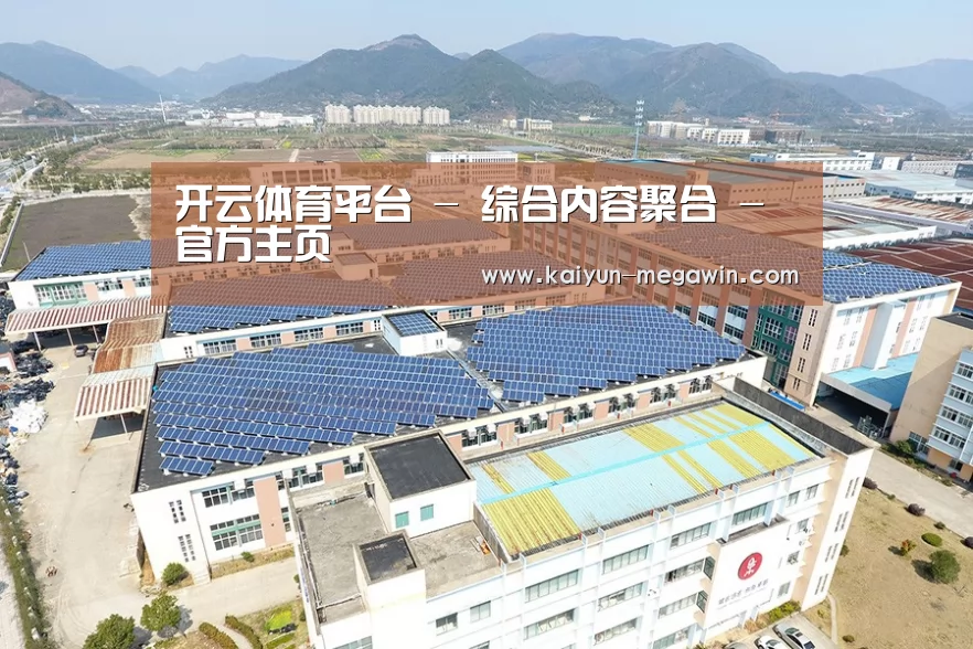 案例展示二