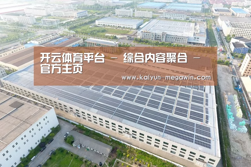 案例展示一