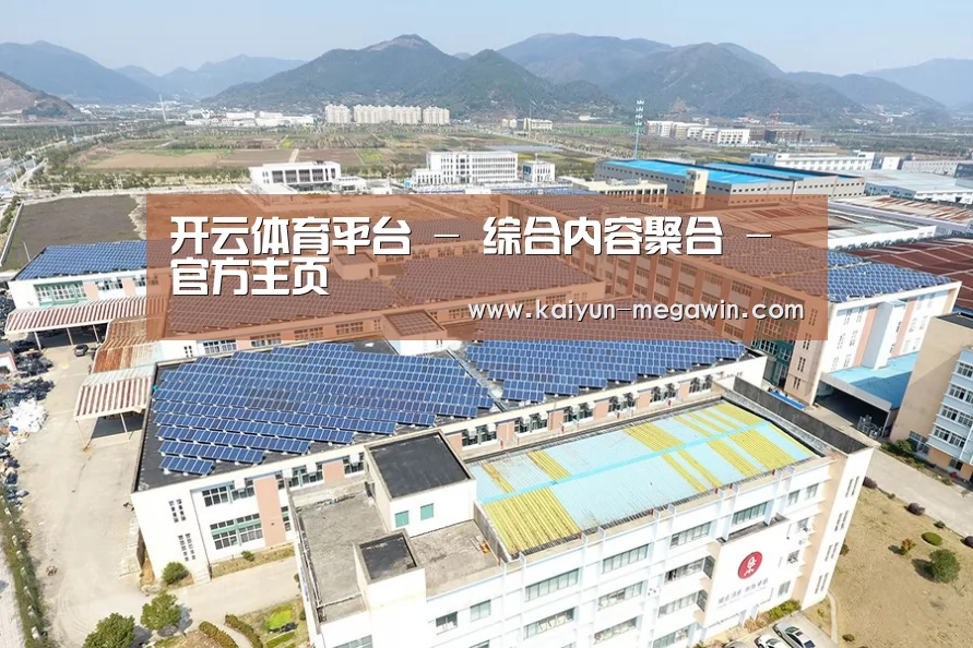 案例展示一