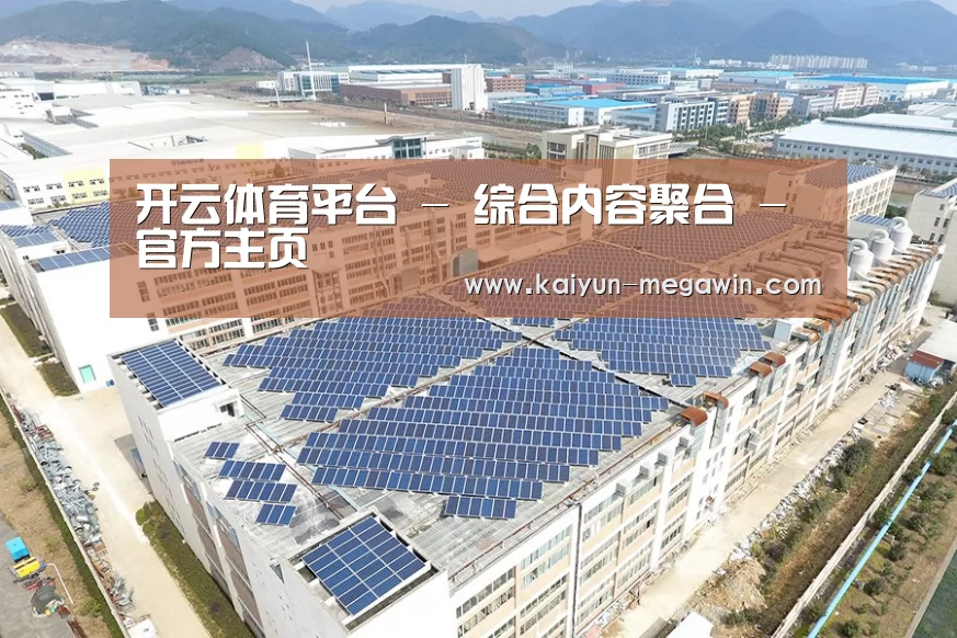 案例展示三