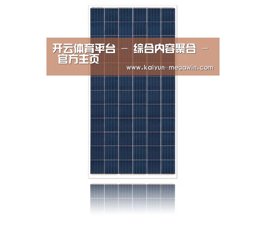 产品名称一