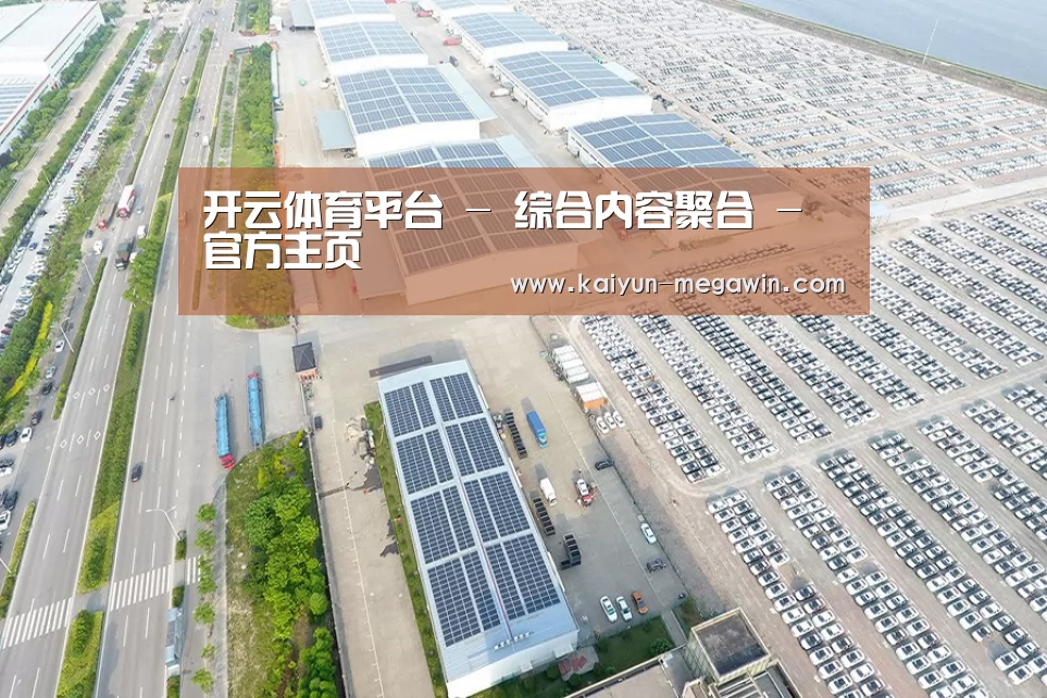 案例展示四