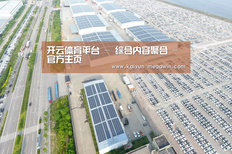 案例展示二