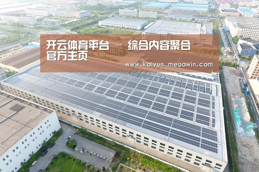 案例展示四