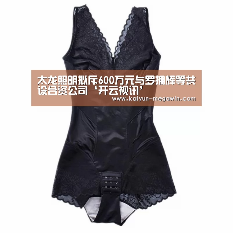 太龙照明拟斥600万元与罗拥辉等共设合资公司‘开云视讯’(图2) 开云官网
