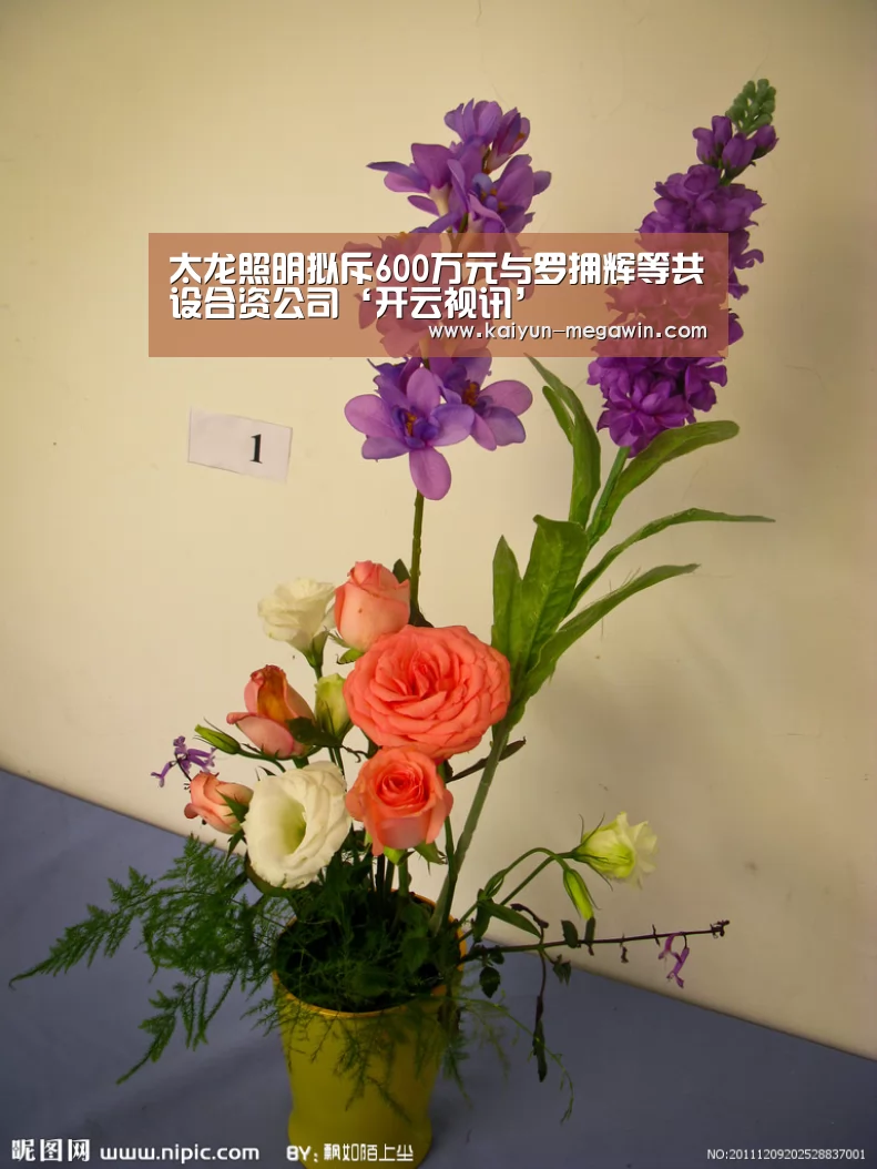 太龙照明拟斥600万元与罗拥辉等共设合资公司‘开云视讯’(图3) 开云快讯