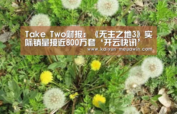 Take Two财报:《无主之地3》实际销量接近800万套‘开云快讯’(图2) 开云视讯
