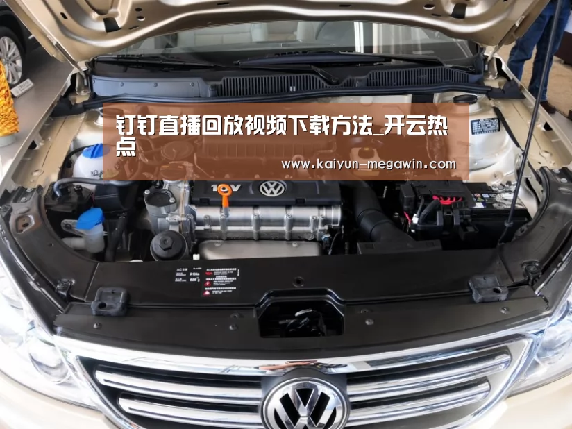 钉钉直播回放视频下载方法_开云热点(图2) 开云快讯