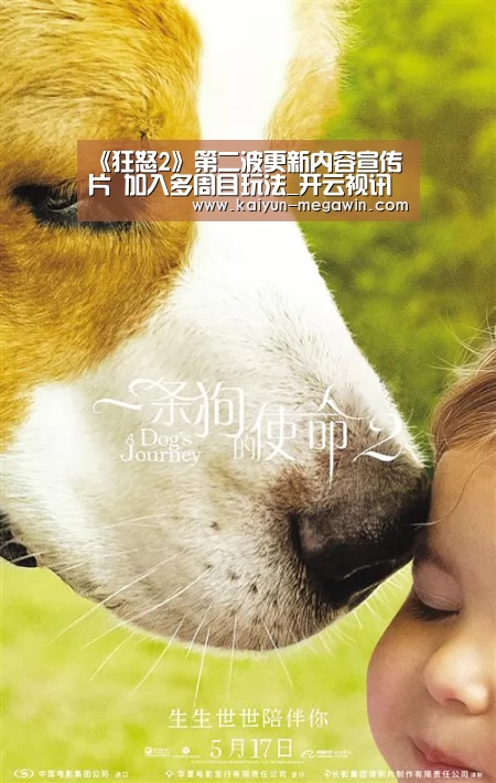 开云快讯